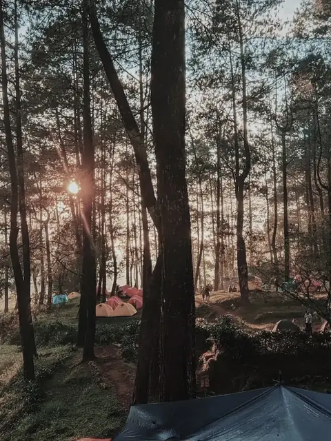 Bike trekking di jalur sejuk Puncak